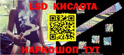 прущие грибы Лесосибирск