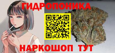 прущие грибы Лесосибирск