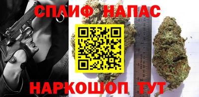 прущие грибы Лесосибирск