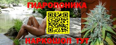 прущие грибы Лесосибирск