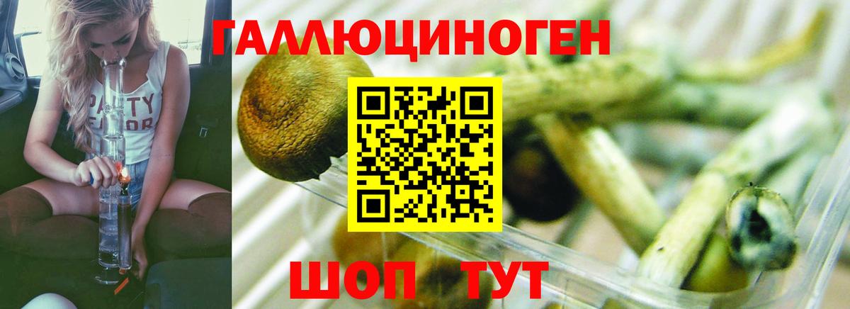 Галлюциногенные грибы Magic Shrooms  Вход с VPN  хочу наркоту  Ишим  Галлюциногенные грибы Magic Shrooms 