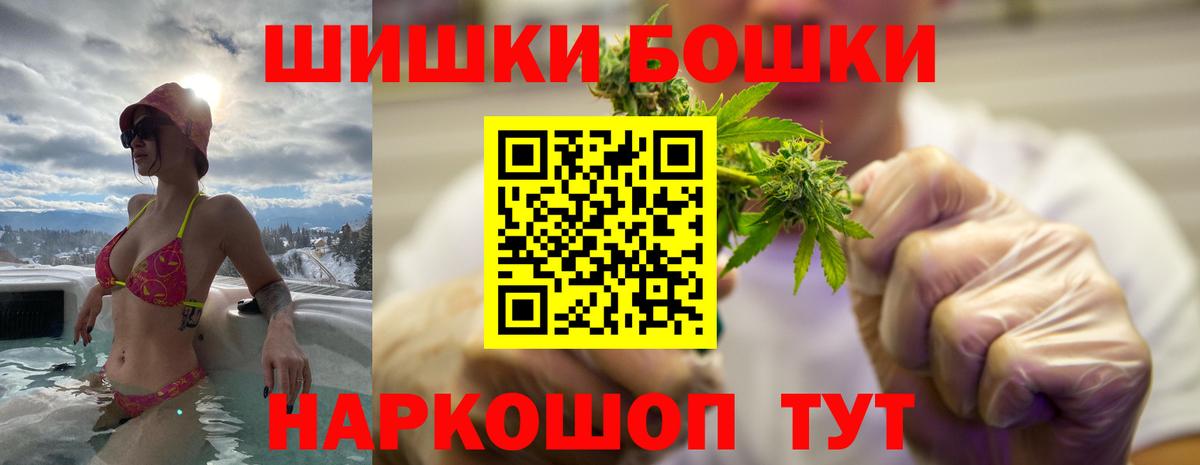 Бошки Шишки планчик Ишим